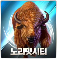 노리밋